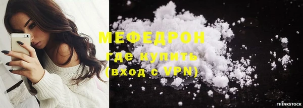 индика Бронницы