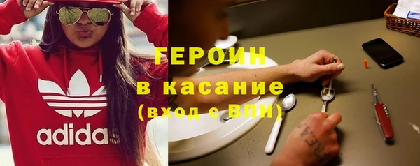 индика Бронницы