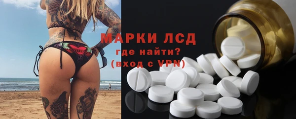 индика Бронницы