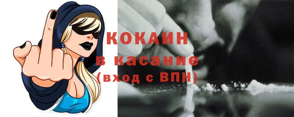 индика Бронницы