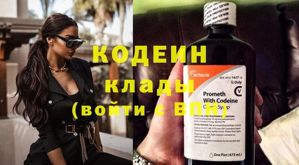 индика Бронницы