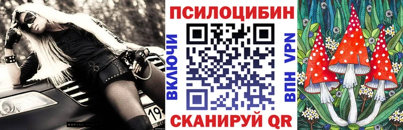 Галлюциногенные грибы GOLDEN TEACHER дарк нет телеграм Баксан